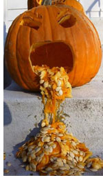 halloween-1.jpg halloween-1.jpg